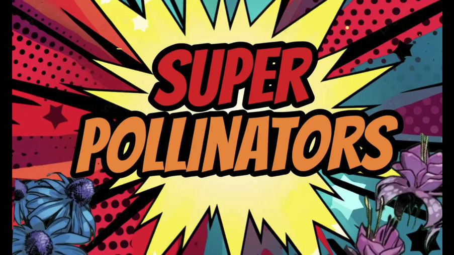 Super Pollinators 2026